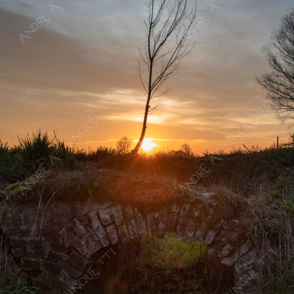 balbiano colturano campagna countryside alba sunrise tramonto sunset sundown crepuscolo twilght dusk blue hour