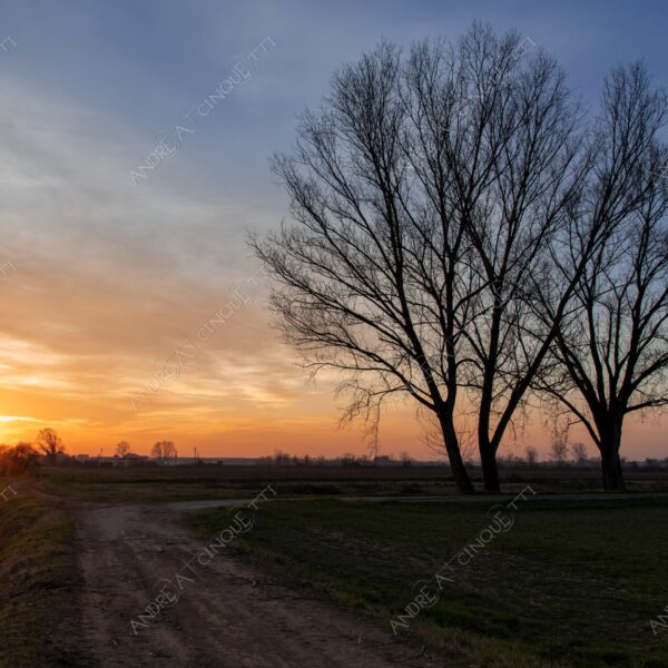 balbiano colturano campagna countryside alba sunrise tramonto sunset sundown crepuscolo twilght dusk blue hour