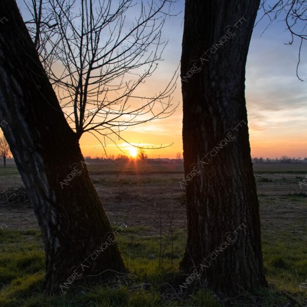 balbiano colturano campagna countryside alba sunrise tramonto sunset sundown crepuscolo twilght dusk blue hour