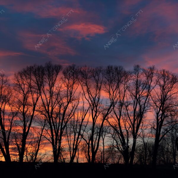 balbiano colturano campagna countryside alba sunrise tramonto sunset sundown crepuscolo twilght dusk blue hour tramonto infuocato fiery burning sunset rosso red arancione orange