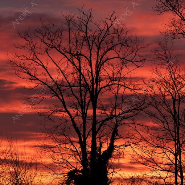 balbiano colturano campagna countryside alba sunrise tramonto sunset sundown crepuscolo twilght dusk blue hour tramonto infuocato fiery burning sunset rosso red arancione orange