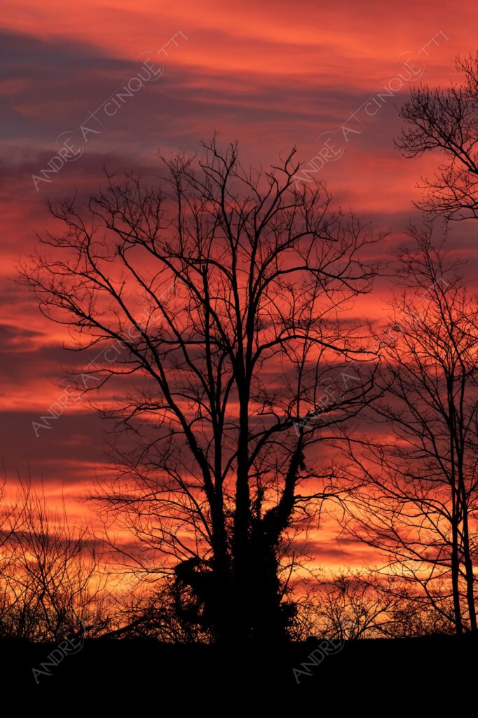 balbiano colturano campagna countryside alba sunrise tramonto sunset sundown crepuscolo twilght dusk blue hour tramonto infuocato fiery burning sunset rosso red arancione orange