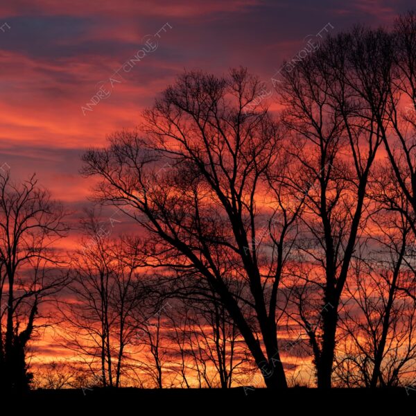 balbiano colturano campagna countryside alba sunrise tramonto sunset sundown crepuscolo twilght dusk blue hour tramonto infuocato fiery burning sunset rosso red arancione orange