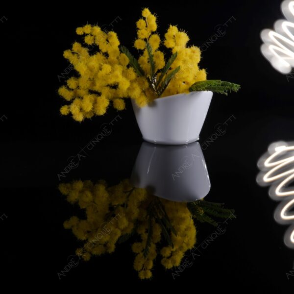 still life studio photography riflessi reflections specchio mirror mimosa lunga esposizione long exposure