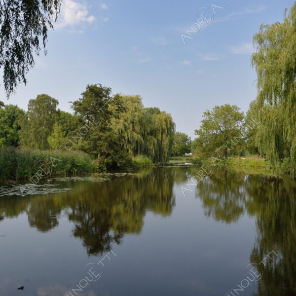 germania germany amburgo hamburg lago lake loch pond riflessi reflections specchio mirror