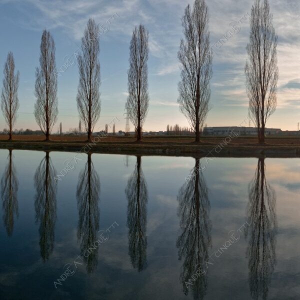 paullo canale canal channel muzza riflessi reflections specchio mirror tramonto sunset sundown blue hour alba sunrise crepuscolo dusk twilight alberi tree nuvole clouds