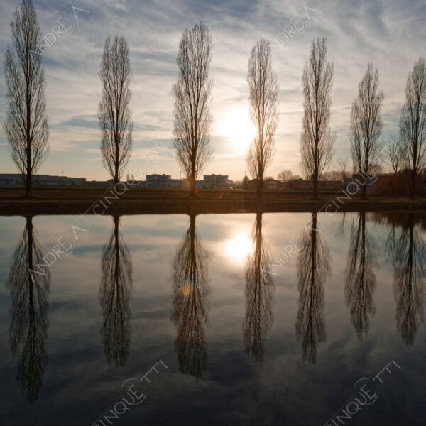 paullo canale canal channel muzza riflessi reflections specchio mirror tramonto sunset sundown blue hour alba sunrise crepuscolo dusk twilight alberi tree nuvole clouds