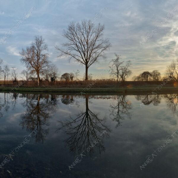 paullo canale canal channel muzza riflessi reflections specchio mirror tramonto sunset sundown blue hour alba sunrise crepuscolo dusk twilight alberi tree nuvole clouds