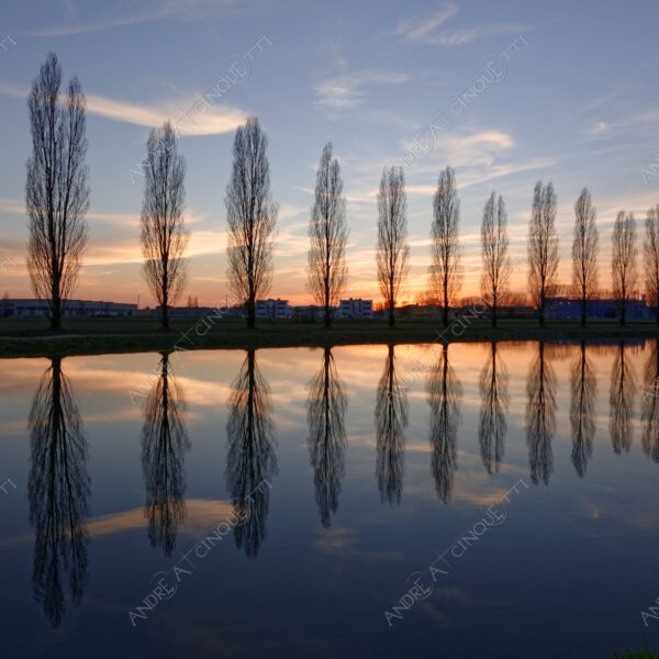 paullo canale canal channel muzza riflessi reflections specchio mirror tramonto sunset sundown blue hour alba sunrise crepuscolo dusk twilight alberi tree nuvole clouds