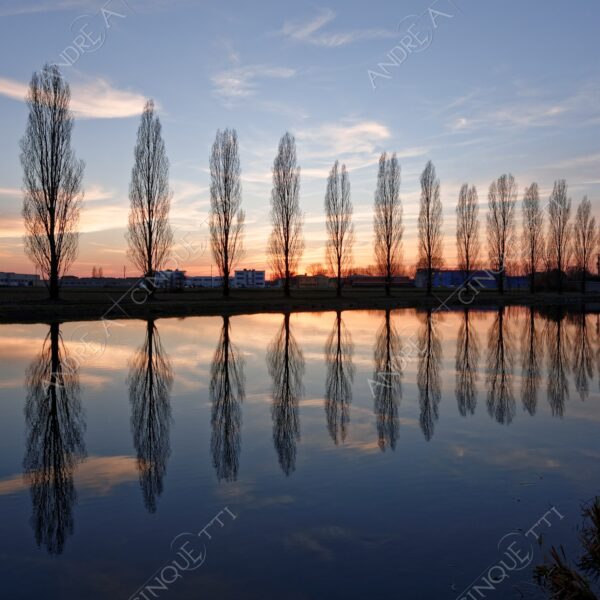 paullo canale canal channel muzza riflessi reflections specchio mirror tramonto sunset sundown blue hour alba sunrise crepuscolo dusk twilight alberi tree nuvole clouds