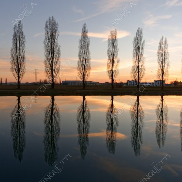 paullo canale canal channel muzza riflessi reflections specchio mirror tramonto sunset sundown blue hour alba sunrise crepuscolo dusk twilight alberi tree nuvole clouds