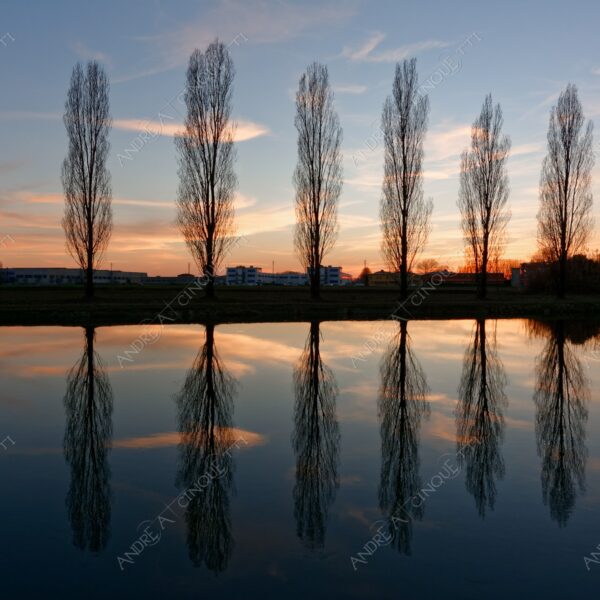 paullo canale canal channel muzza riflessi reflections specchio mirror tramonto sunset sundown blue hour alba sunrise crepuscolo dusk twilight alberi tree nuvole clouds