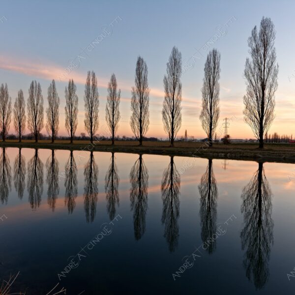 paullo canale canal channel muzza riflessi reflections specchio mirror tramonto sunset sundown blue hour alba sunrise crepuscolo dusk twilight alberi tree nuvole clouds
