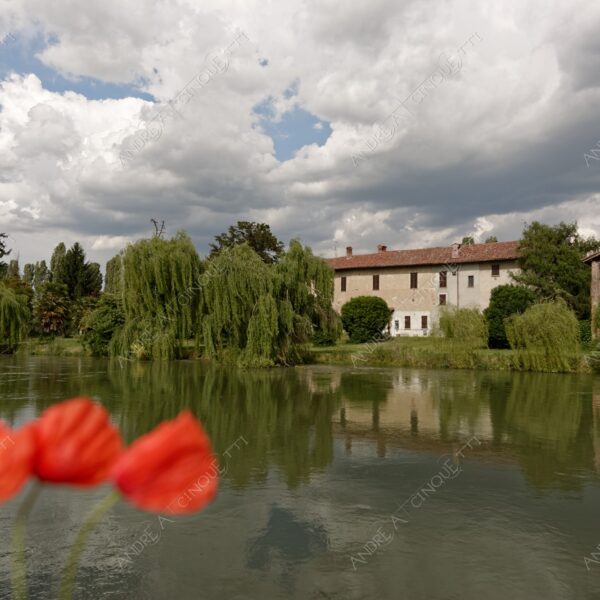 paullo canale canal channel muzza cascina farm salice piangente willow papaveri poppies nuvole clouds