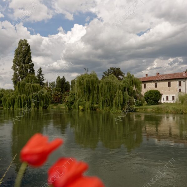 paullo canale canal channel muzza cascina farm salice piangente willow papaveri poppies nuvole clouds