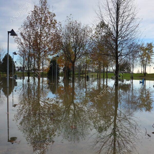 san donato milanese alluvione flood allagamento flooding riflessi reflecions specchio mirror pozzanghera puddle colori autunnali foliage parco giochi playground panchina bench