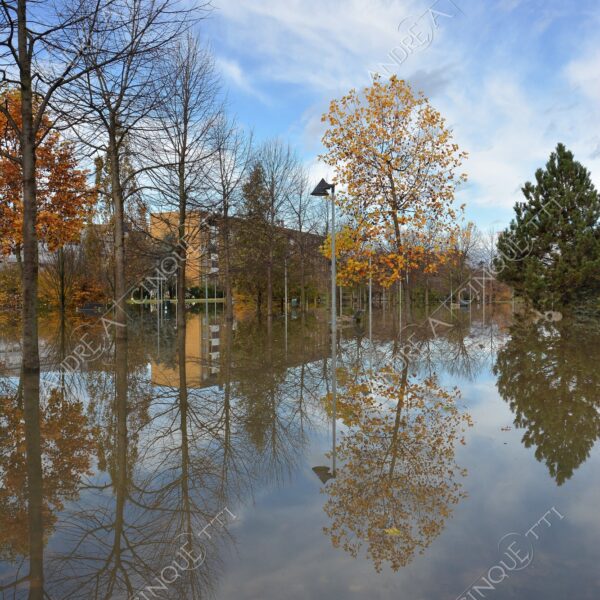 san donato milanese alluvione flood allagamento flooding riflessi reflecions specchio mirror pozzanghera puddle colori autunnali foliage parco giochi playground panchina bench