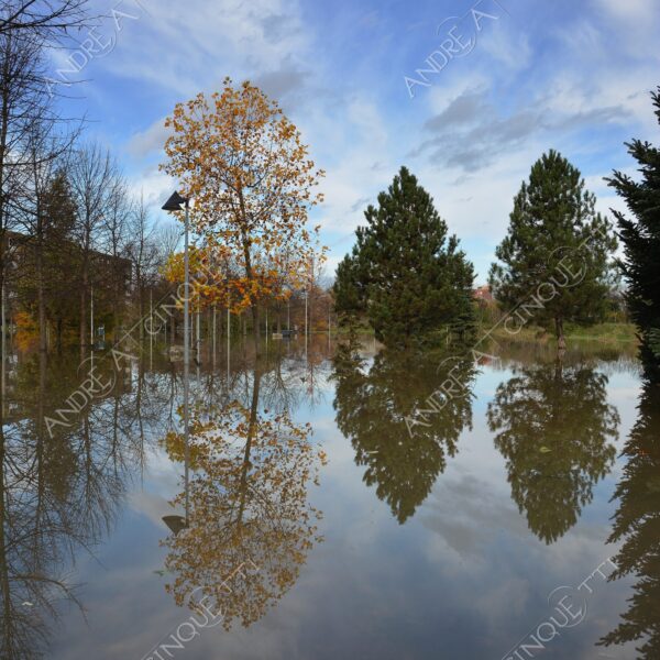 san donato milanese alluvione flood allagamento flooding riflessi reflecions specchio mirror pozzanghera puddle colori autunnali foliage parco giochi playground panchina bench