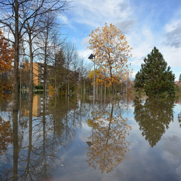 san donato milanese alluvione flood allagamento flooding riflessi reflecions specchio mirror pozzanghera puddle colori autunnali foliage parco giochi playground panchina bench
