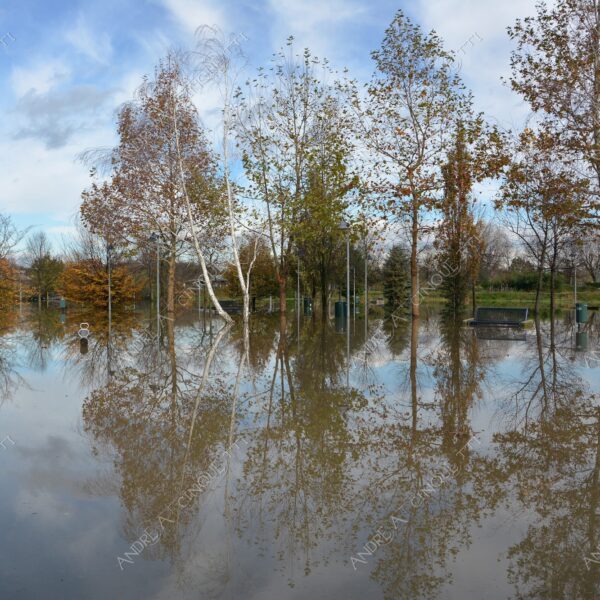 san donato milanese alluvione flood allagamento flooding riflessi reflecions specchio mirror pozzanghera puddle colori autunnali foliage parco giochi playground panchina bench