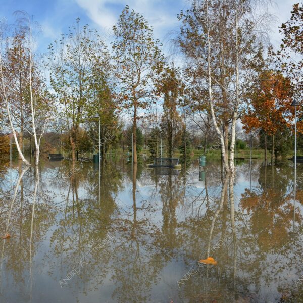 san donato milanese alluvione flood allagamento flooding riflessi reflecions specchio mirror pozzanghera puddle colori autunnali foliage panchina bench