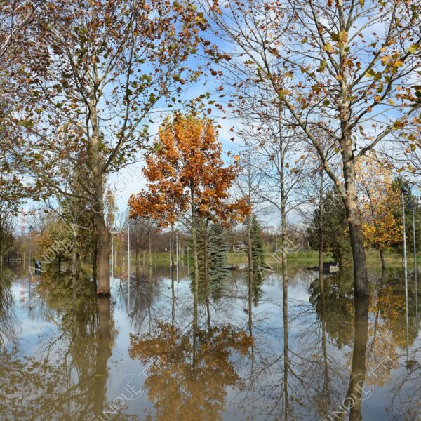 san donato milanese alluvione flood allagamento flooding riflessi reflecions specchio mirror pozzanghera puddle colori autunnali foliage