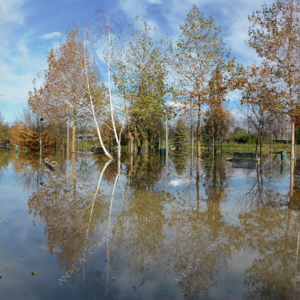 san donato milanese alluvione flood allagamento flooding riflessi reflecions specchio mirror pozzanghera puddle colori autunnali foliage parco giochi playground panchina bench