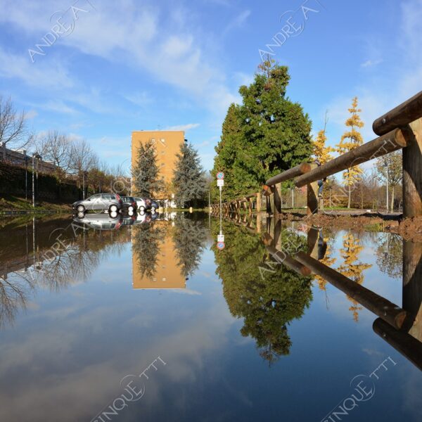 san donato milanese alluvione flood allagamento flooding riflessi reflecions specchio mirror pozzanghera puddle colori autunnali foliage steccato fence recinzione