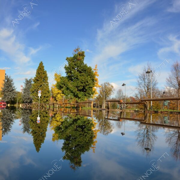 san donato milanese alluvione flood allagamento flooding riflessi reflecions specchio mirror pozzanghera puddle colori autunnali foliage