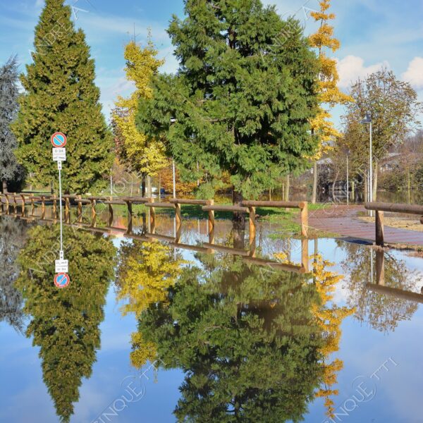 san donato milanese alluvione flood allagamento flooding riflessi reflecions specchio mirror pozzanghera puddle colori autunnali foliage