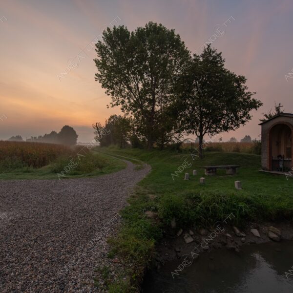 balbiano colturano campagna countryside alba sunrise tramonto sunset sundown crepuscolo twilght dusk nebbia fog foschia misty sole sun