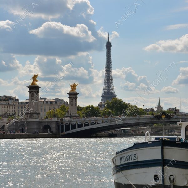 francia france parigi paris architettura architecture lunga esposizione long exposure fiume river senna ponte bridge pont alexandre III