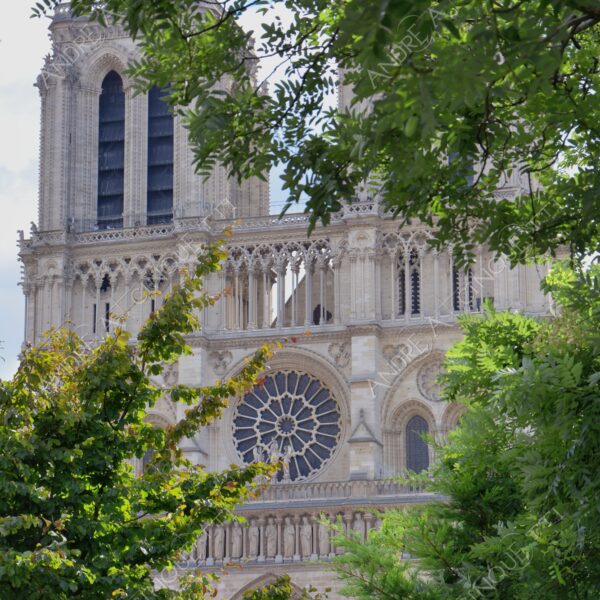 francia france parigi paris architettura architecture notre-dame