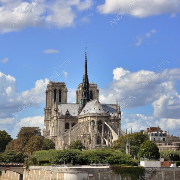 francia france parigi paris architettura architecture chiesa church cattedrale cathedral fiume river senna notre-dame prima dell'incendio before burning fire