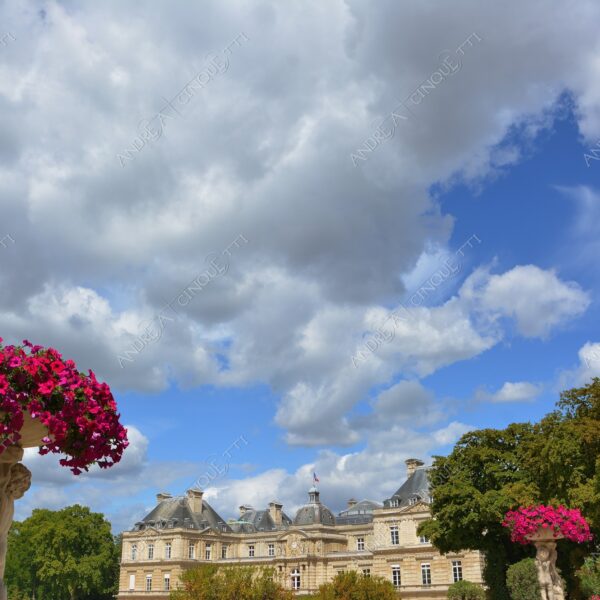 francia france parigi paris prospettiva perspective vista view fiume jardin du luxemburg