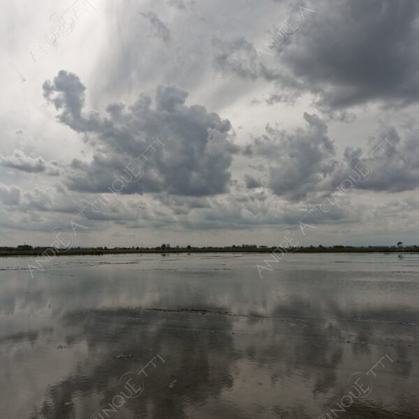 trino vercelli trino vercellese piemonte nuvole clouds cascina farm riflessi reflections specchio mirror risaia rice field paddy field allagata flooded