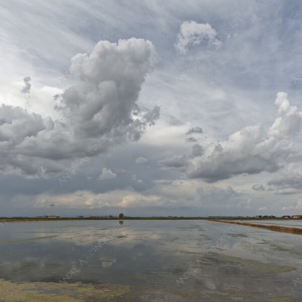 trino vercelli trino vercellese piemonte nuvole clouds cascina farm riflessi reflections specchio mirror risaia rice field paddy field allagata flooded
