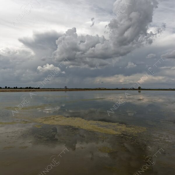 trino vercelli trino vercellese piemonte nuvole clouds cascina farm riflessi reflections specchio mirror risaia rice field paddy field allagata flooded
