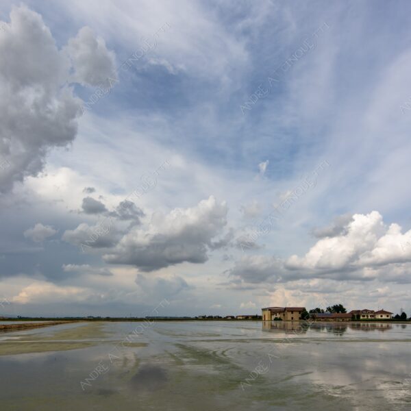 trino vercelli trino vercellese piemonte nuvole clouds cascina farm riflessi reflections specchio mirror risaia rice field paddy field allagata flooded
