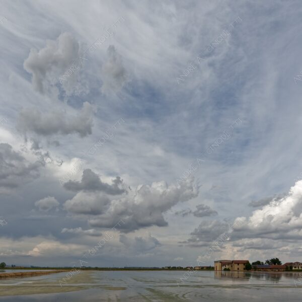 trino vercelli trino vercellese piemonte nuvole clouds cascina farm riflessi reflections specchio mirror risaia rice field paddy field allagata flooded