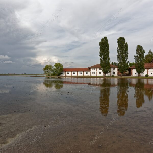 trino vercelli trino vercellese piemonte nuvole clouds cascina farm riflessi reflections specchio mirror risaia rice field paddy field allagata flooded