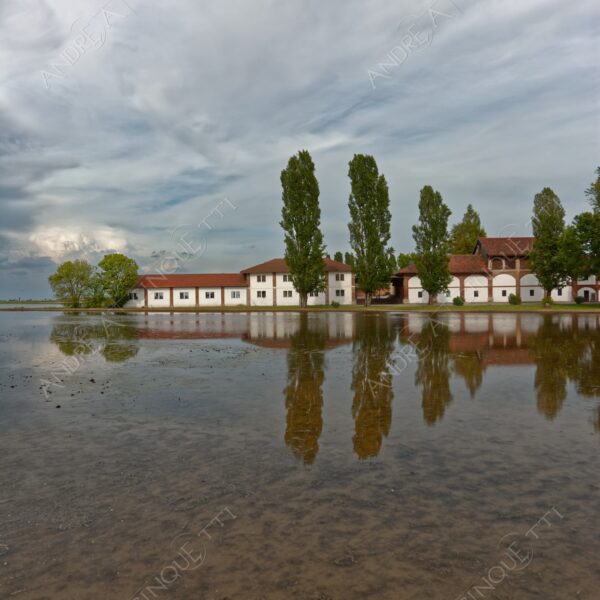 trino vercelli trino vercellese piemonte nuvole clouds cascina farm riflessi reflections specchio mirror risaia rice field paddy field allagata flooded