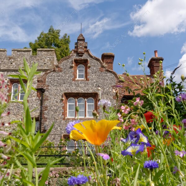 inghilterra england regno unito united kingdom prospettica perspective punta di vista point of view prato meadow campo field fiori flowers fioritura blooming blossoming