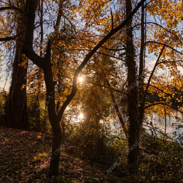 somma lombardo varese lombardia italia italy diga dam fiume river ticino canale channel canal villoresi acqua water riflessi reflections sole sun tramonto sunset sundown alba sunrise crepuscolo dusk twilight raggi di sole rays of sunshine sun rays sunbeams controluce backlight backlit