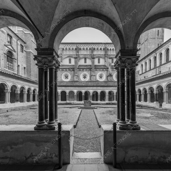 vercelli piemonte italia italy chiesa church basilica sant'andrea chiostro cloister architecture architettura archi arcs colonne columns pillars prospettiva perspective erba grass bianco e nero black and white b&w