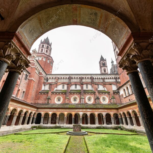 vercelli piemonte italia italy chiesa church basilica sant'andrea chiostro cloister architecture architettura archi arcs colonne columns pillars prospettiva perspective erba grass